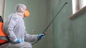 Trusted Warrenton, OR Mold Remediation Experts